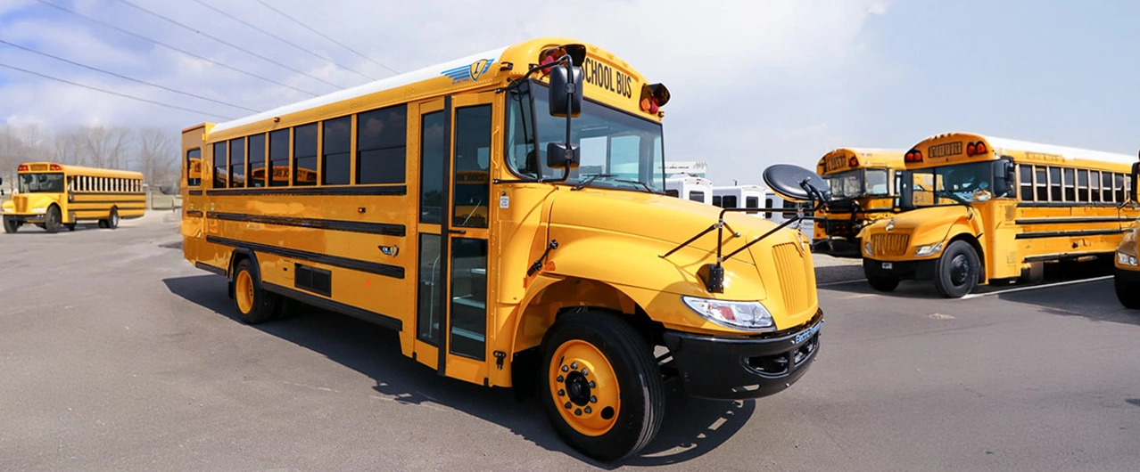 fleet of yellow school buses